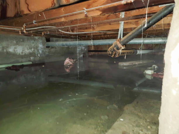 Best 24-hour water damage restoration  in Weston Mills, NY