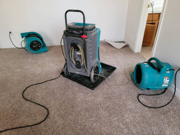 Best Basement water damage restoration  in Weston Mills, NY