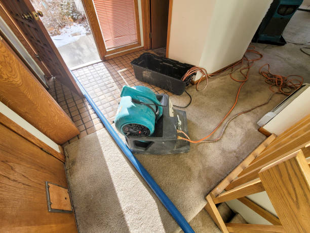 Best Water damage restoration insurance claims  in Weston Mills, NY