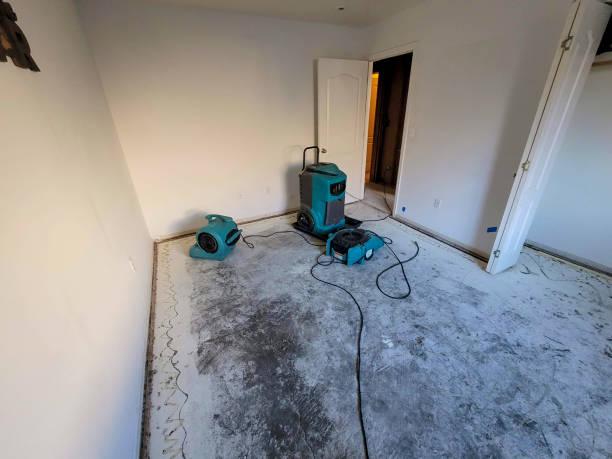 Best Emergency water damage restoration  in Weston Mills, NY