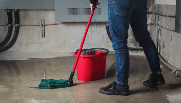 Best Water damage restoration experts  in Weston Mills, NY