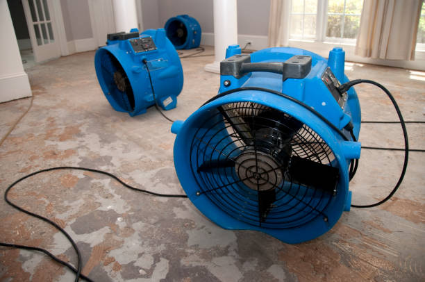 Best Residential water damage restoration  in Weston Mills, NY